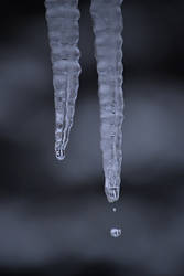 Icicles-2