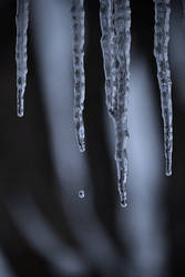 Icicles-3
