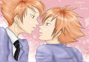 Ouran Host Club - Twins