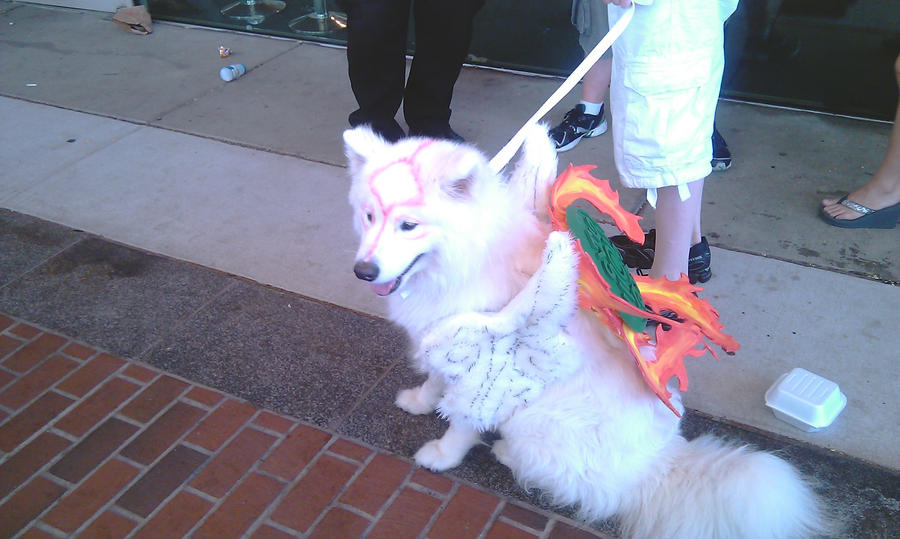 Otakon 2011: Okami