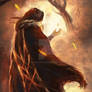 WISDOM HAS THE TASTE OF MAGIC