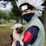 Kakashi Cosplay