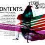 Contents Of Tears, Lies And Cigarettes Project