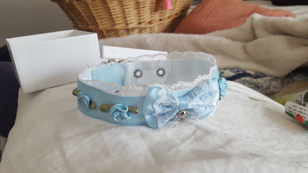 kittensplaypen collar