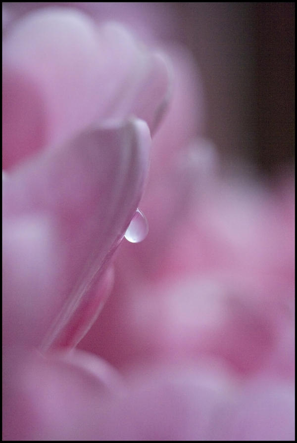 Pink water drop