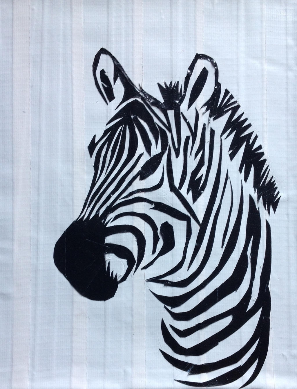 Zebra Canvas