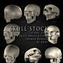 free skull stock