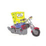 Sponge Rider