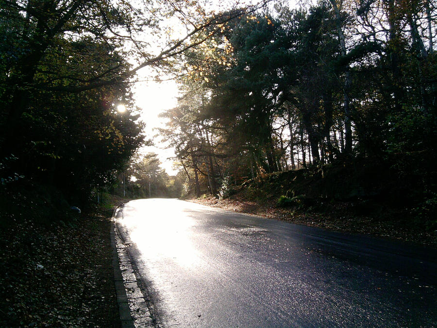 Pretty Road Split Pretty Road by Catastrophewaitresss on DeviantArt