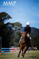 The Rock Horse Show