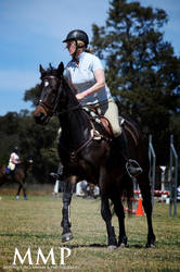 The Rock Horse Show