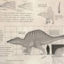 Thalassosaurus Anglicanus Dossier