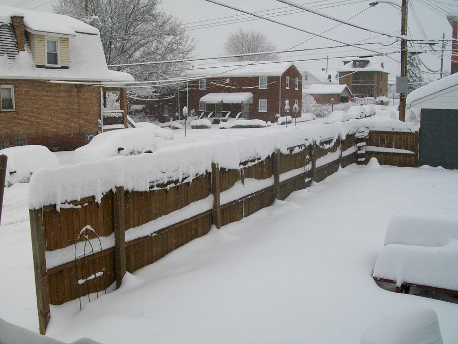 Snow Fence