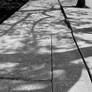 Shadowed pavement