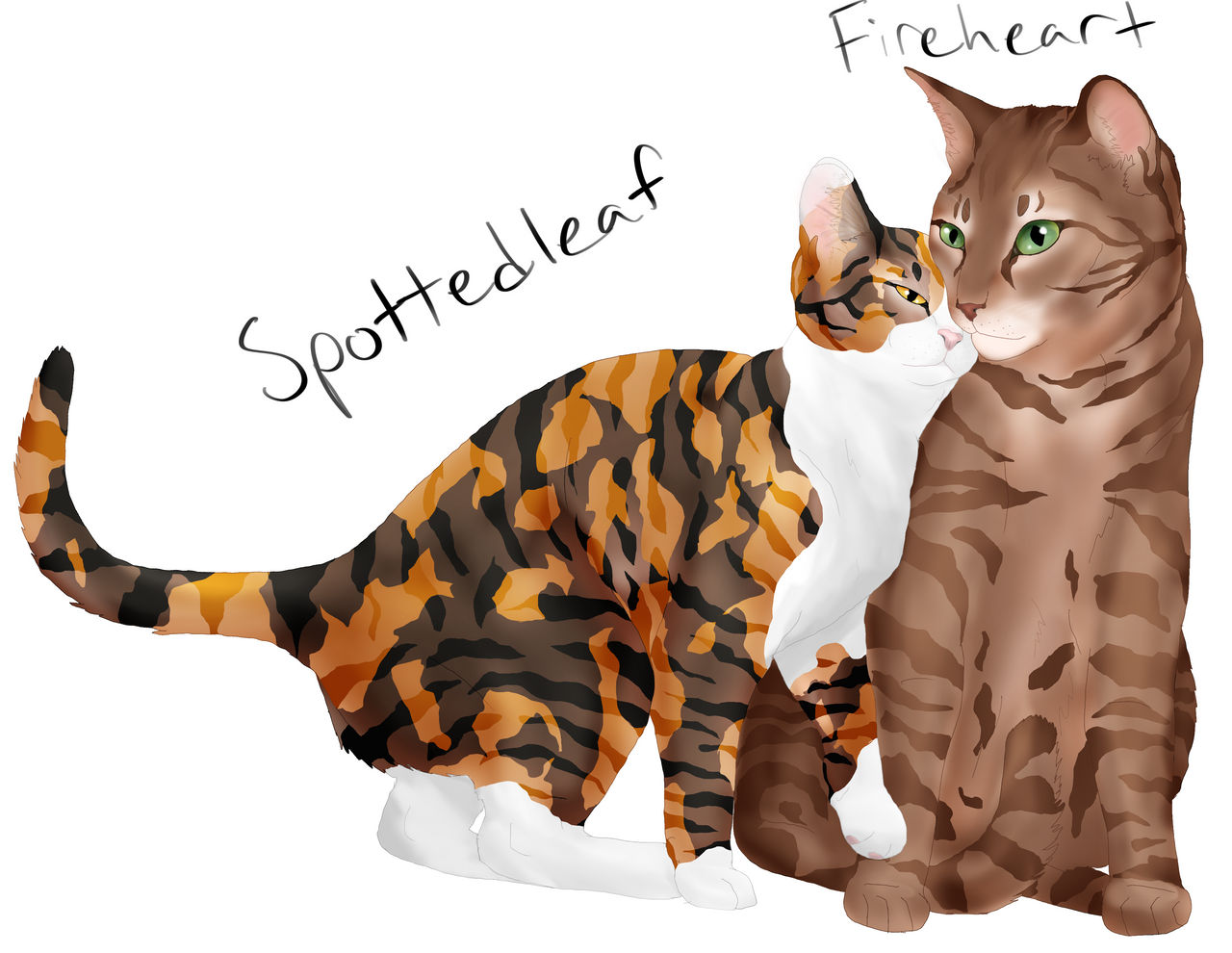 Spottedleaf And Firestar Kits Firestar s Family Tree Warriors Amino spottedleaf-and-firestar-kits-firestar-s-family-tree-warriors-amino