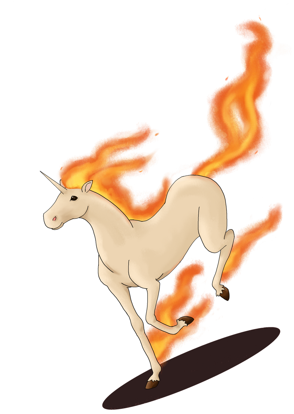 Rapidash