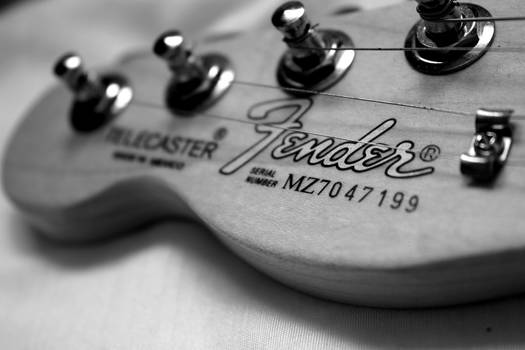 FENDER