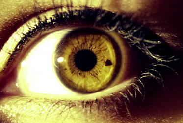 EYE