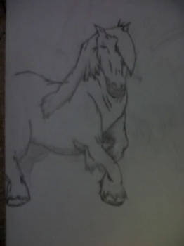 A horse posing...