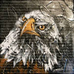Silver Bald Eagle by JessicaSansiquet