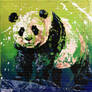 Le panda geant