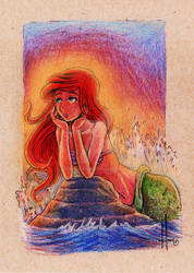 Ariel sunset moment