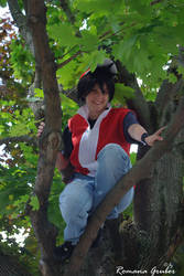 Red in a tree