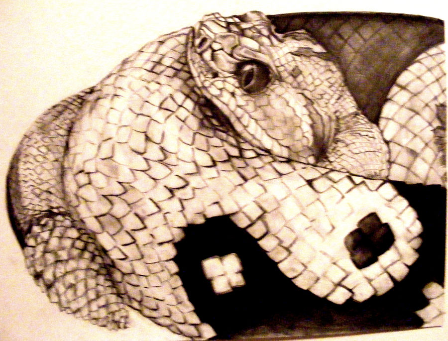 pinerattler by PalmerST on DeviantArt