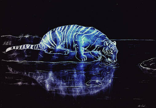 Drinking Tiger 3 - Glowing In The Night