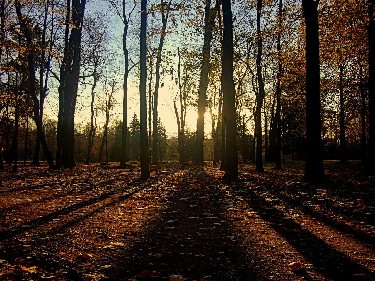 Last Warm Autumn Day