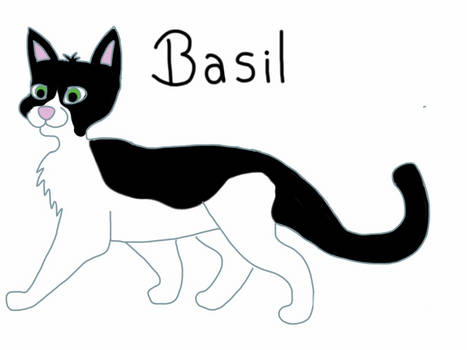 Basil - My Cat Character