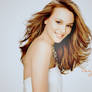 Leighton Meester Wallpaper