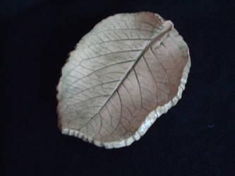 leaf