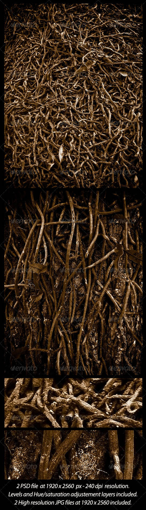 2 Roots Texture by danfleites on DeviantArt