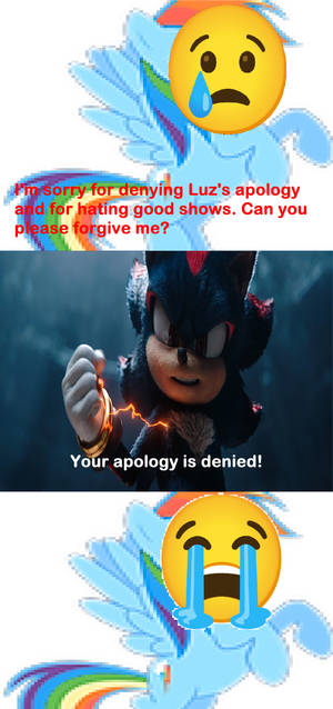 Shadow denies RainbowDash19990's apology