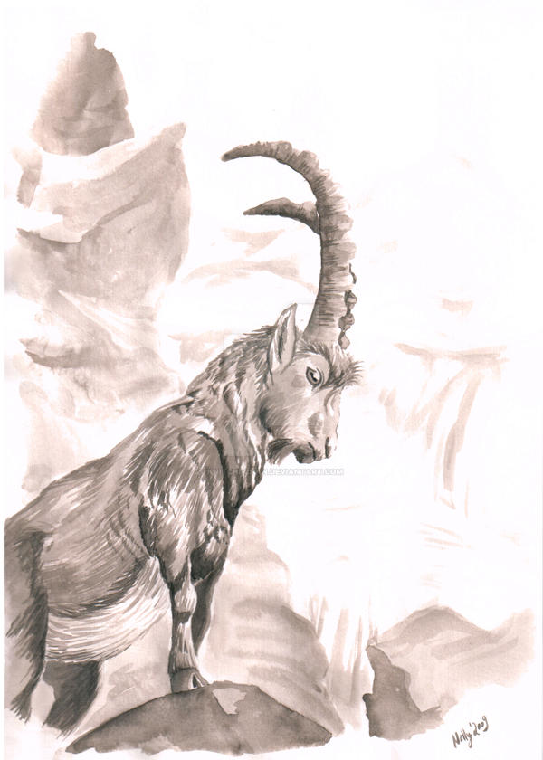 Capricorn