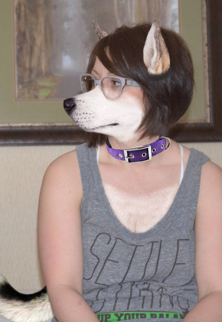 Dog Transformation by ThatOneThief on DeviantArt