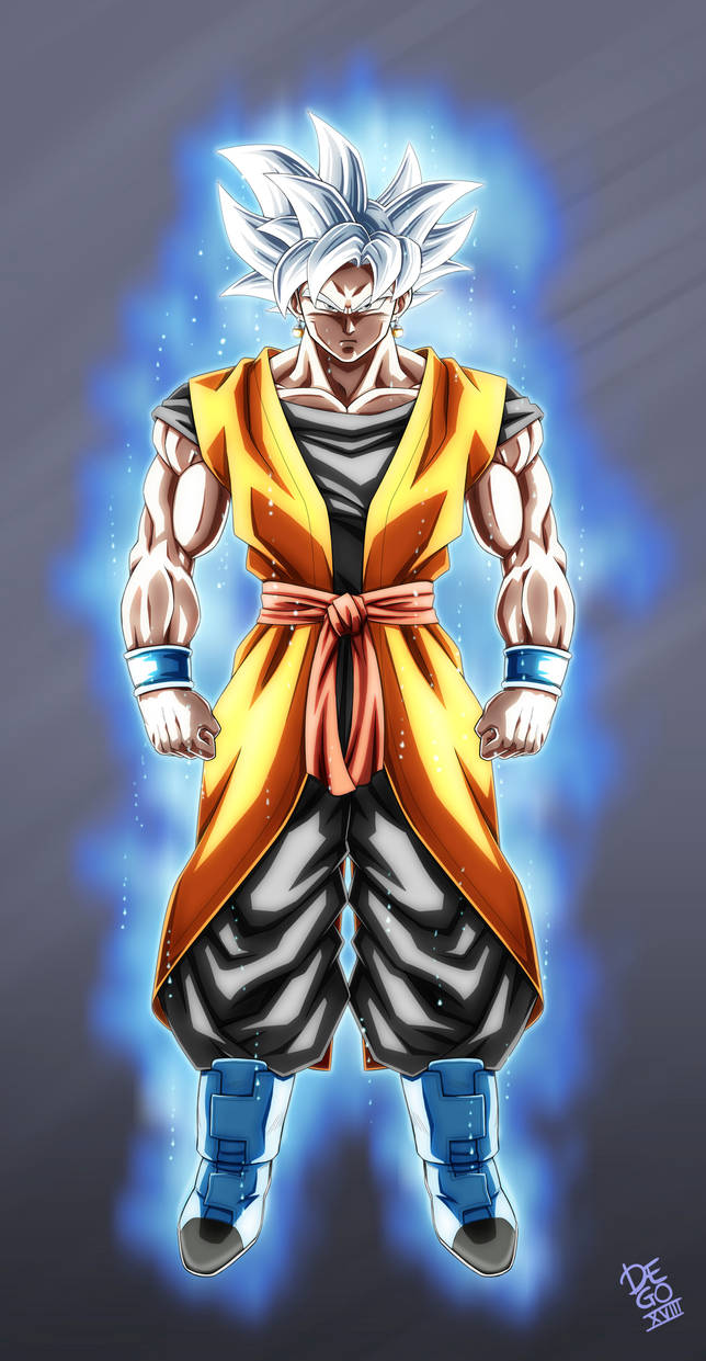 Goku + Goku Xeno - Ultra Instinct by Wegons on DeviantArt