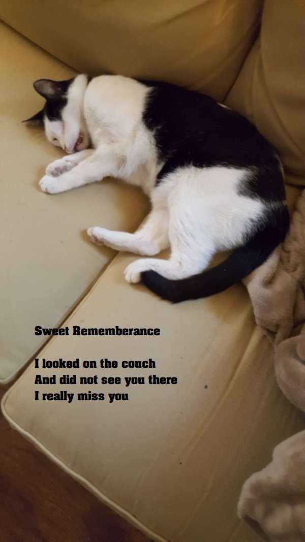 Sweet Rememberance