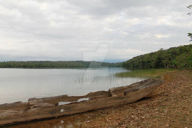 Old wood boat on the edge of the lake....