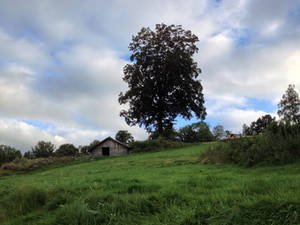 Lonely hut