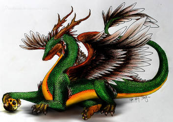 The Dragon Guardians - #01 Forest. (Male)