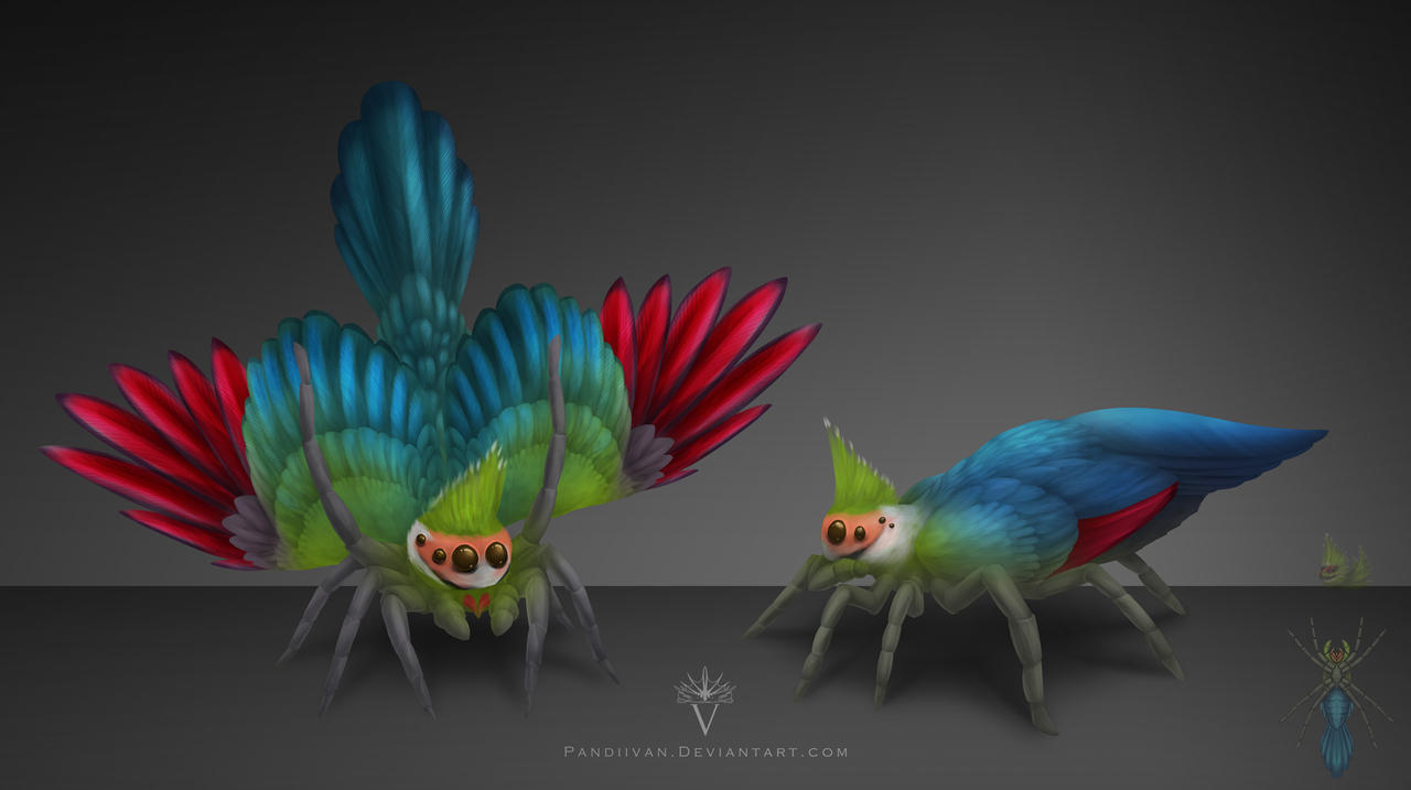 Egg Adopt Hatched #169 - Fantasyart Peacock Spider