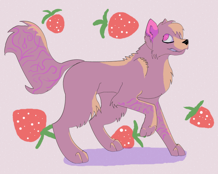 Voffy and strawberries