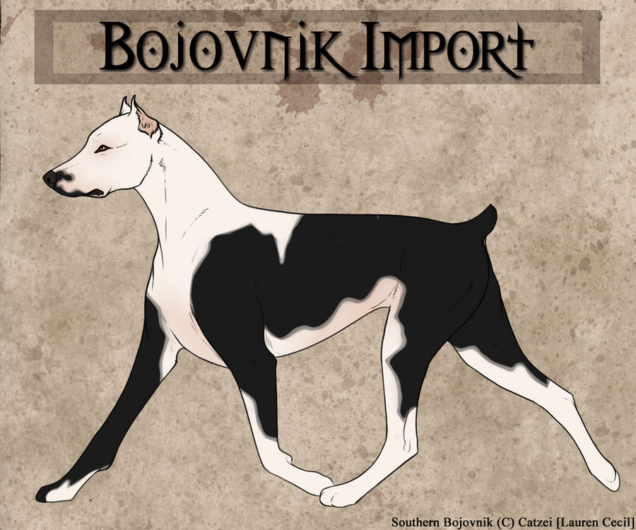 Bojovnik Import S15