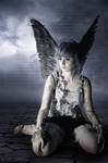among the ashes by WCS-Wildcat