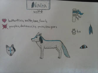 Naira reference sheet