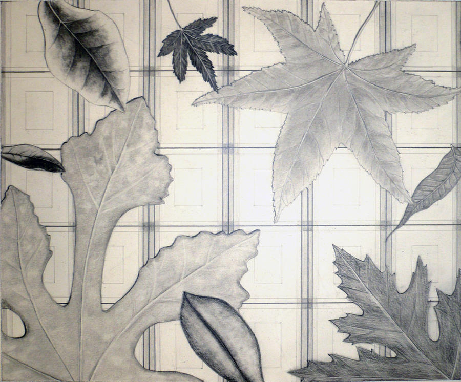Leaves by wakebrdrgirl05 on DeviantArt