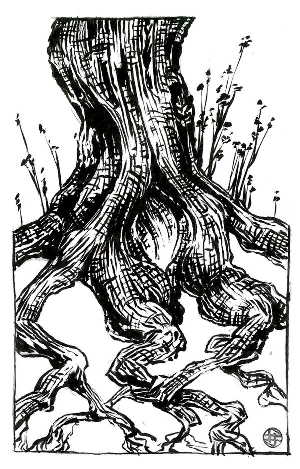 Ink Drawn Roots Ink Roots by Astanael on DeviantArt