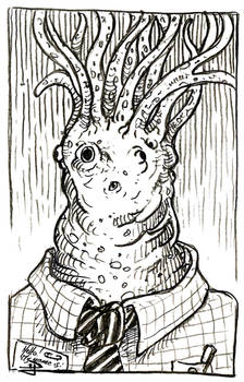 Meet the Staff - New recruit